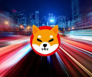 به شیبااینو بدبین شویم؟!!