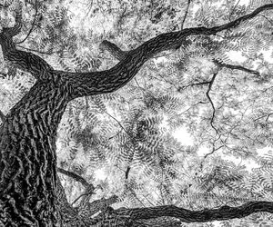 منتخب عکس های طبیعت در سال 2020