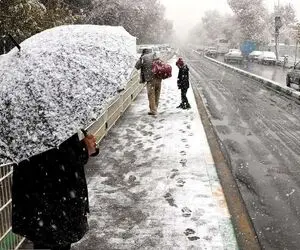  این استان ها منتظر برف و باران باشند