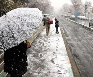  این استان ها منتظر برف و باران باشند