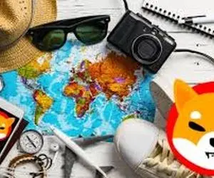 شیبااینو پیروز یا قربانی این میدان خواهد شد؟