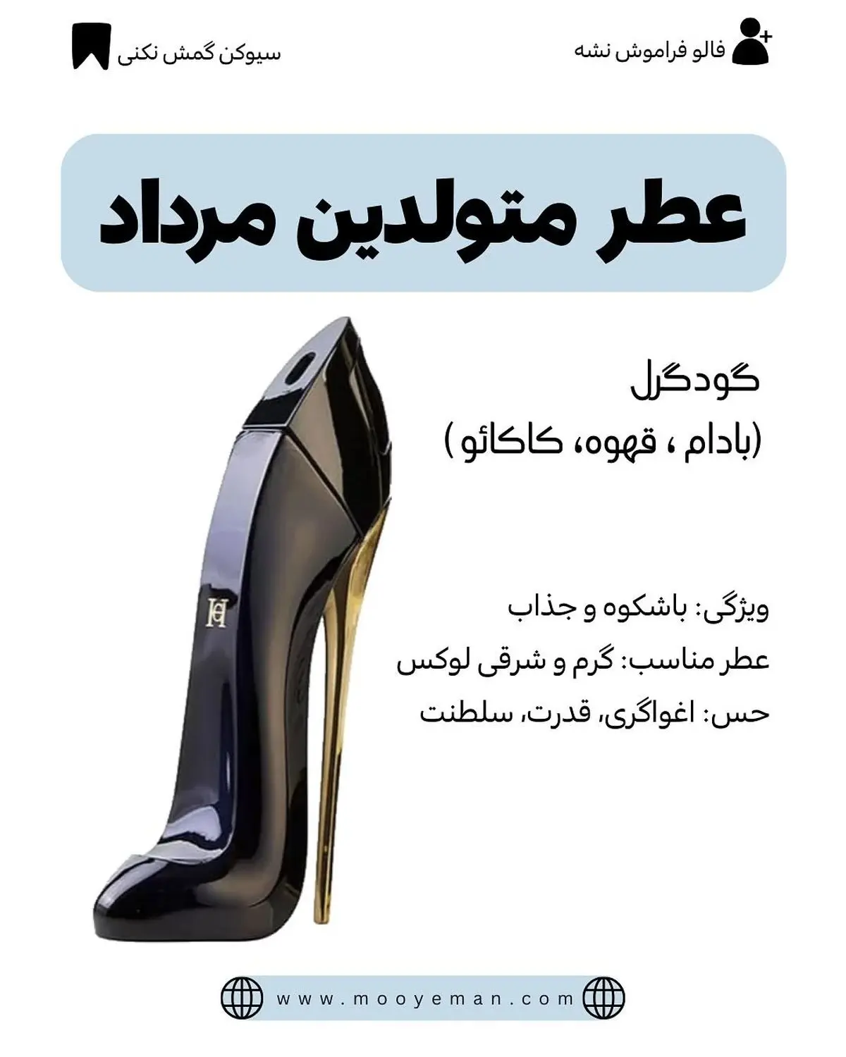 519311637_18074666879496120_7545581123277928599_n