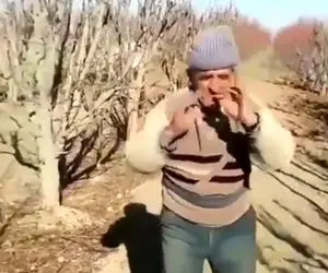 آواز روستایی؛ پیر عشایری چه نفسی داره تو زمین میرقصه میپره بالا پایین