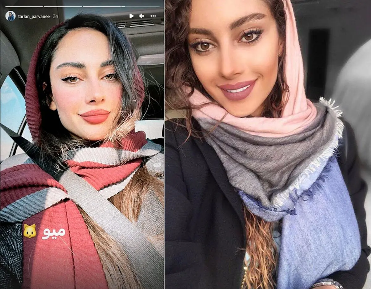 ترلان+پروانه