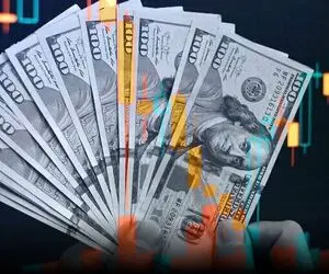 قیمت دلار توافقی امروز شنبه 4 مرداد 1404 / حواله دلار ثابت ماند