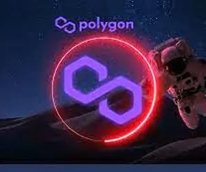 نهنگ های پالیگان به تلاطم افتادند؟