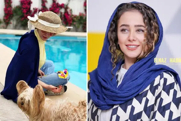 elnaz habibi shayanews