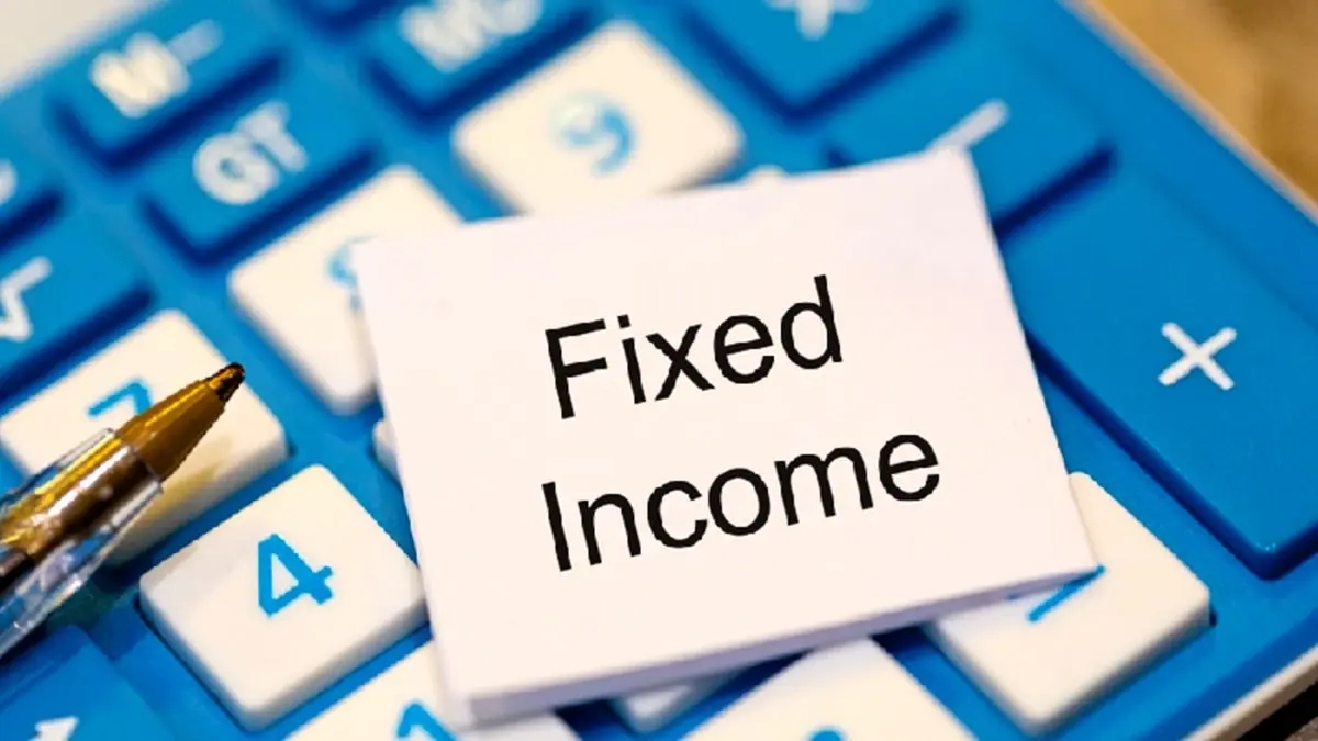 سرمایه گذاری در صندوق درآمد ثابت - تصویر 4