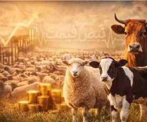 قیمت دام زنده امروز 3 اسفند 1404 + جدول