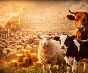 قیمت دام زنده امروز 3 اسفند 1404 + جدول