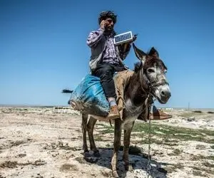 ابتکار یک شهروند برای شارژ گوشی ؛ مواد مورد نیاز عبارت است از پنل خورشید و یک عدد الاغ
