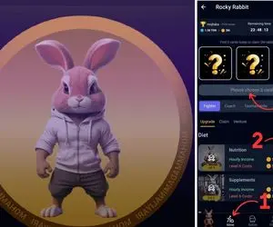 کارت های راکی رابیت (ROCKY RABBIT) امروز چهارشنبه 7 شهریور + آموزش وارد کردن