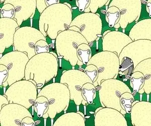 بازی فکری؛ اگه نتونی گرگ ناقلا رو بین بره ها پیدا کنی نیاز به چشم پزشک داری