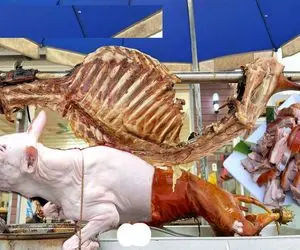 فرآوری سگ؛ دستو پای سگ نازنازیو بست با سس سویا و مایونز مزه دار و بریونی کرد