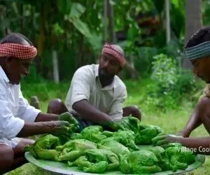 غذای متفاوت ؛ مرغ چطور میتونه سبز باشه جلل الخالق/ آداب خوردنشون رو کجای دلم بزارم