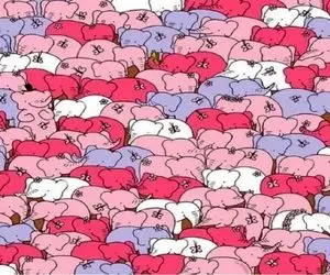 بازی فکری؛ حتی خلبانا و پزشکام نمیتونن قلب مخفی تصویرو پیدا کنن چشم تیزتر میخواد