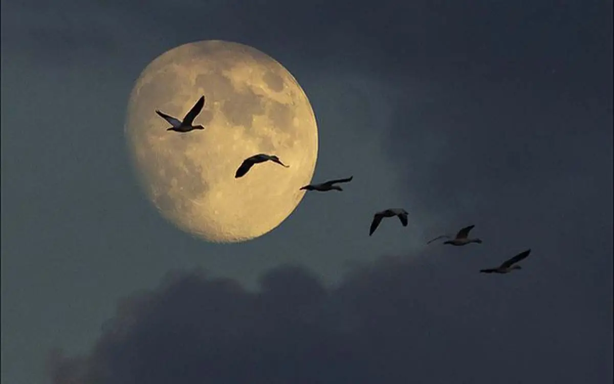 e46f236245eb9bd82089d61b99fc0f35--moon-moon-the-moon