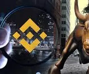 گاوهای بایننس کوین چه نقشه ای دارند؟