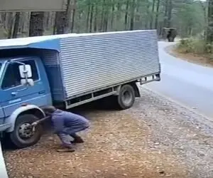معماری طبیعت؛ کامیون سنگ قبر مرد بخت برگشته شد