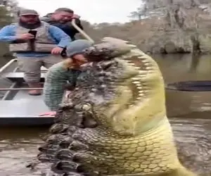 معماری طبیعت؛ این خارجیا فازشون چیه الان گاد چیکار کنه عین ماست وایساد کروکودیل خوردش