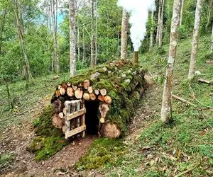 معماری خلاقانه؛ آقاهه وسط جنگل تو عمق 12000 متری زمین خونه ساخته خرس نخورتش