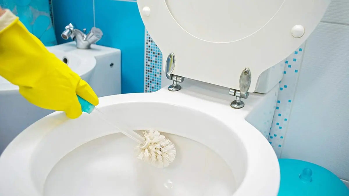 Toilet-cleaning1