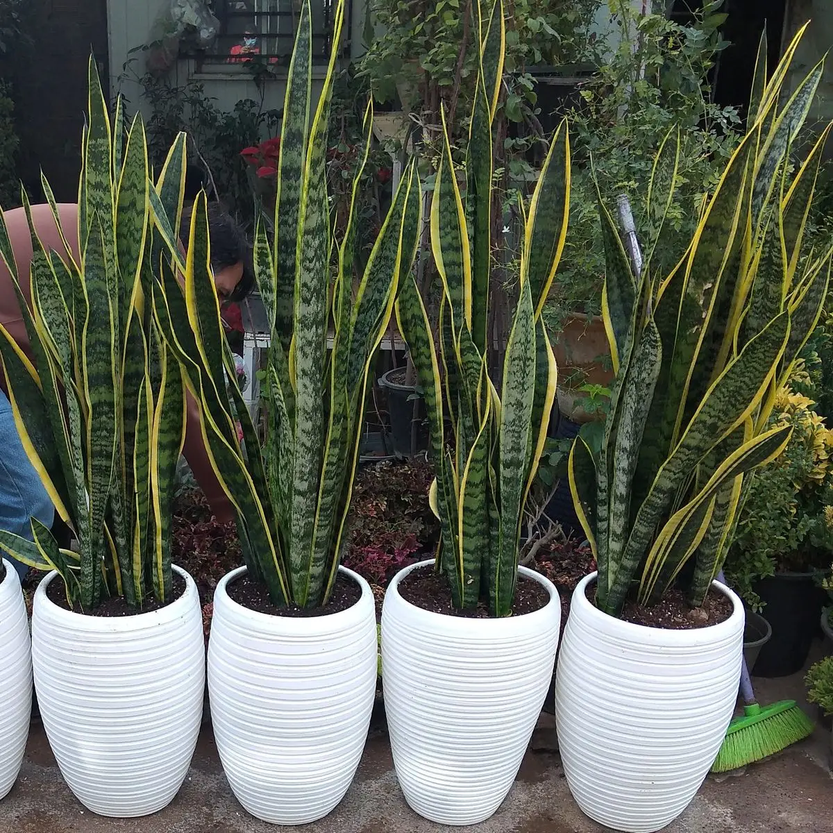 TpEeWnTdHYDp8ZNhqQVdV9MKdMIOWZgLrs6oP3Fx