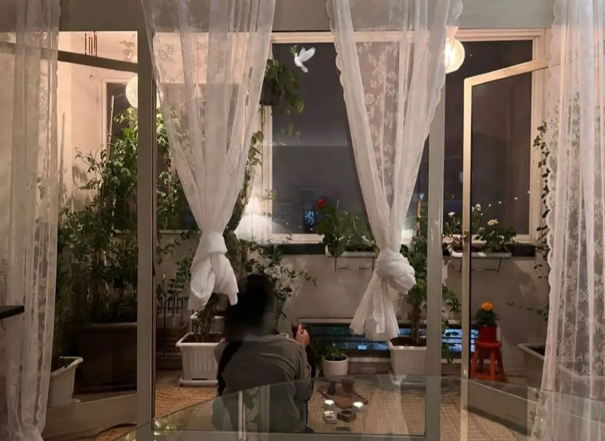 پردیس احمدیه
