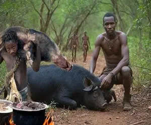 جنگجویان طبیعت؛ بربرهای برهنه گراز 215کیلویی و با تیرکمون شکارو مثله شده پختن