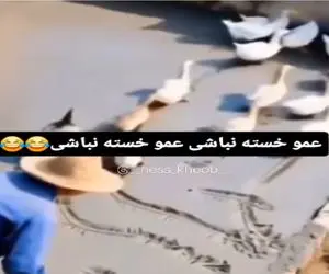 طنز حیات وحش؛ اردکا گروهی گند میزنن به زحمت صاحبشون