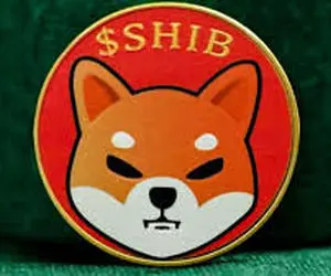 اتفاقی مهم برای شیبااینو!