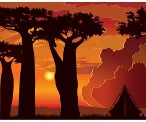 تست هوش تصویری با جواب؛ اگه ادعات میشه آخر همه باهوشا هستی زرافه رو تو عکس پیدا کن!