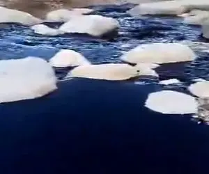 ماجرای ویدیو فوران نفت در رودخانه های سروستان شیراز چیست؟