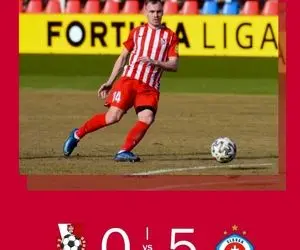 یاران سلیمی گل باران شدند