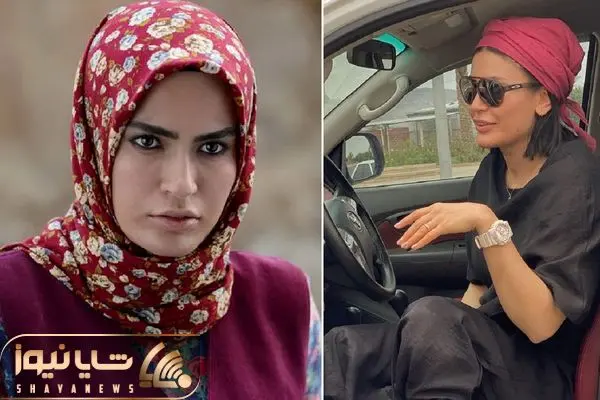 shiva taheri shayanews