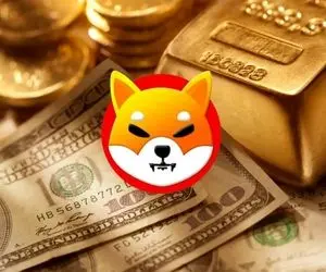 تحولی عظیم برای شیبااینو