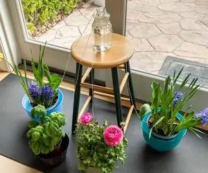 ایده های خلاقانه؛ میخوای بری سفر نگرانی گل هات خشک بشن؟ این روش آبیاری عالیه