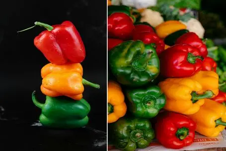 نحوه فریز کردن فلفل دلمه ای | تا چند ماه در فریزر ماندگاری دارد؟