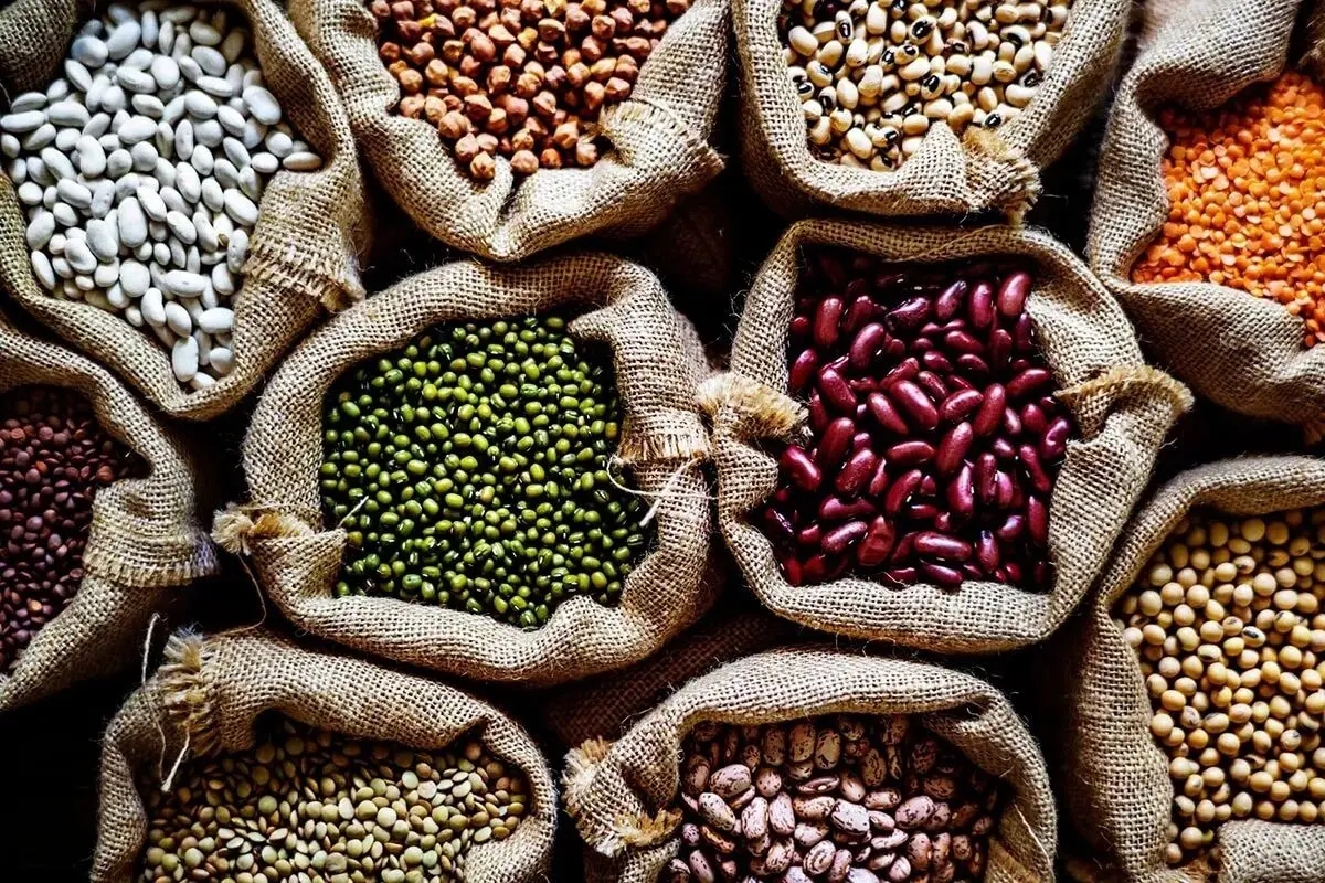 نفخ2