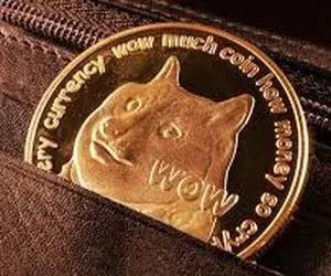 دوج کوین یک شبه نابود میشه؟