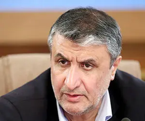 محمد اسلامی:محکم پای فعالسازی صنایع داخلی ایستاده ایم