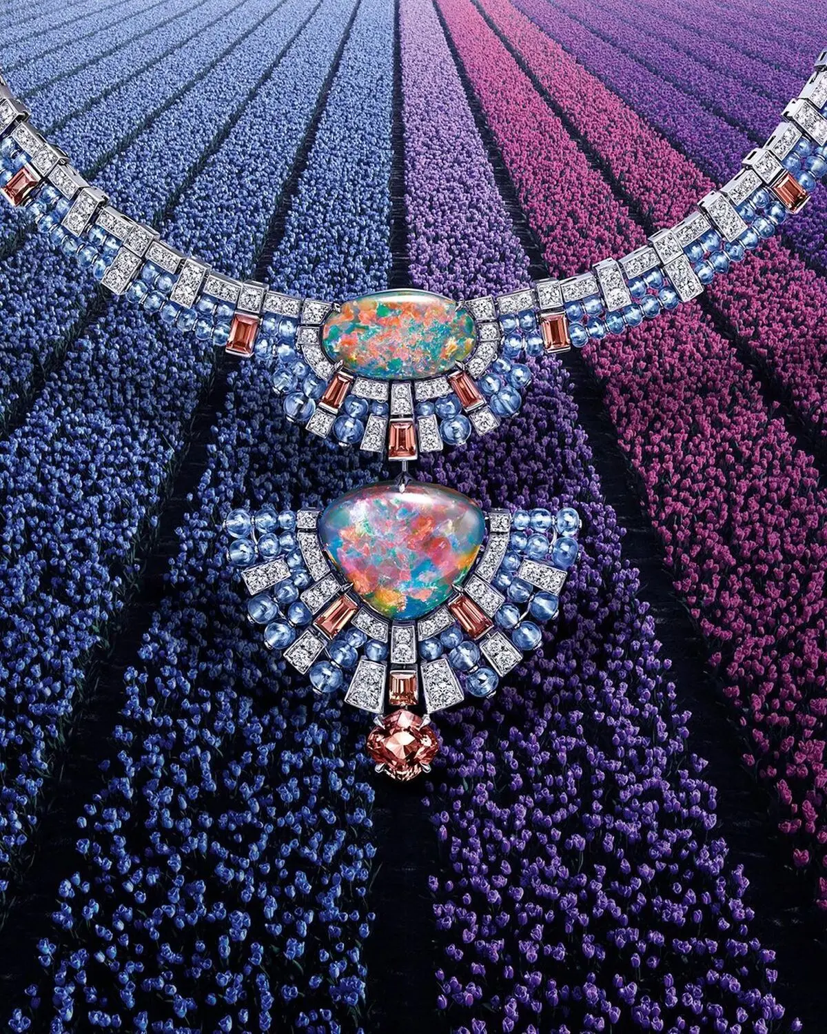 cartier_288611388_429298825457413_4480848130925711436_n