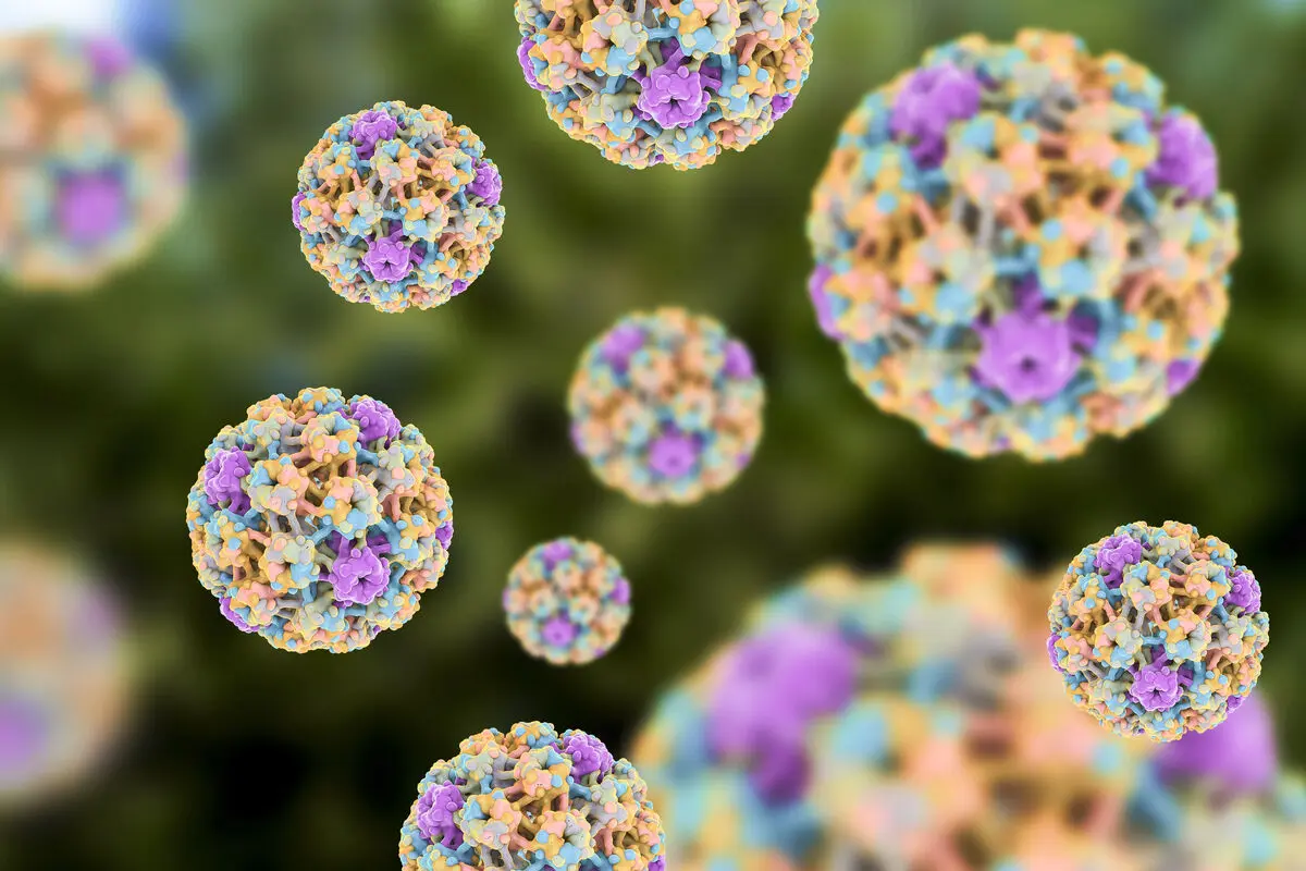 HPV-685029949