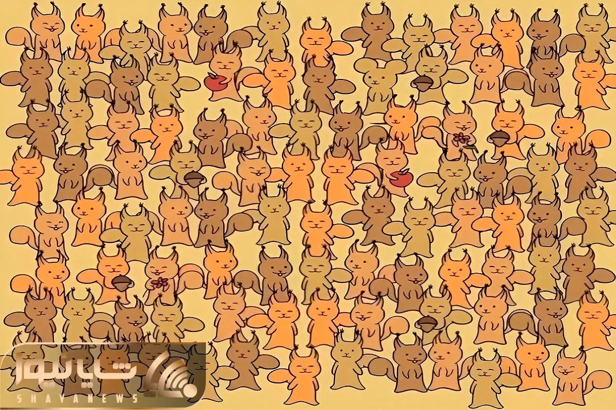 بازی فکری؛ فقط 1 درصد از 100 درصد موش مموش رو بین سنجاب های چموش پیدا میکنن