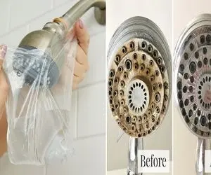 بهترین روش خانگی تمیز کردن رسوب سردوش حموم/ ترفند طلایی که خانومای حساس به تمیزی بلدن