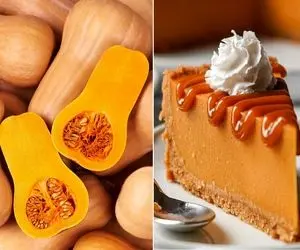 چیزکیک کدو حلوایی یه دسر جذاب و فوق العاده که پایان خوشی میتونه باشه واسه شام مهمونی