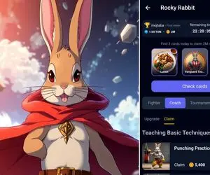 کارت های راکی رابیت (rocky rabbit) امروز دو شنبه19 شهریور + آموزش وارد کردن
