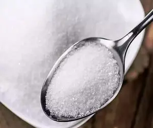 ثبت‌سفارش شکر آغاز شد