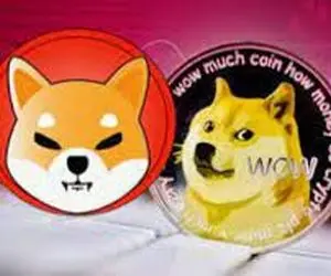شیبا و دوج کوین کدام برنده این جنگ خواهندشد؟