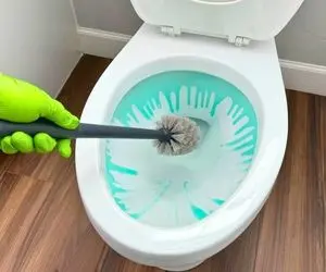 خونه داری های ریز؛ توالت فرنگی از شدت جرم زرد شده؟ تو 10 مرحله عین آینه برق بندازش